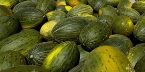melonvert