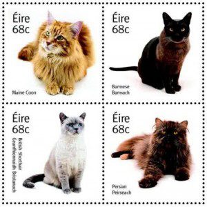 stamps-cat