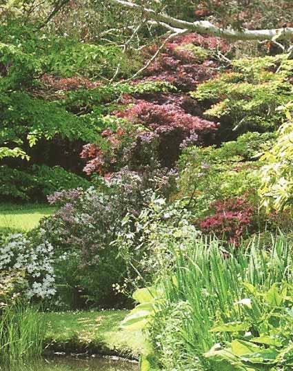 WILLIAM ROBINSON, l’irlandais qui libéra le jardin