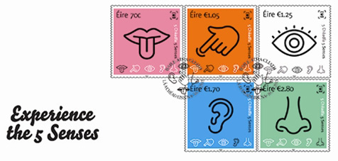 The five Senses
