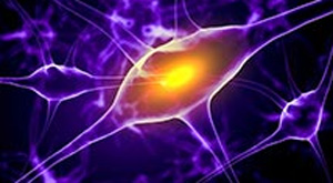 Nobel de Medecine 2015 — Nobel Prize in Medecine