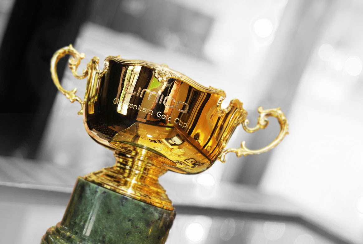 La Légende de Cheltenham : Irish Winner