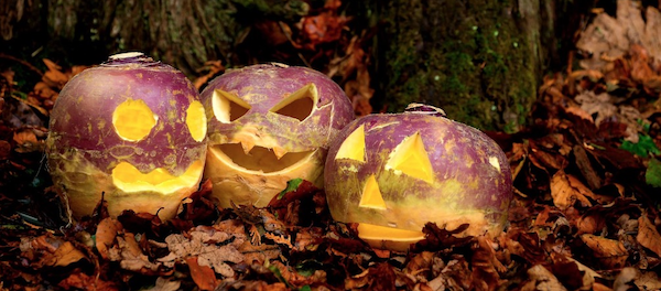 De Samhain à Hallowe'en, L'héritage irlandais. Les navets découpés bien avant les citrouilles