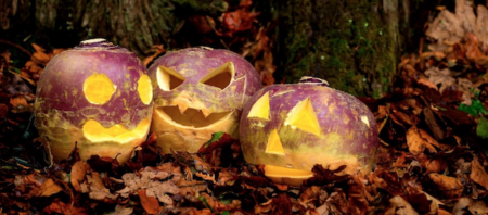 Hallowe'en les navets creusés